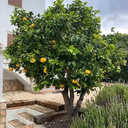 Villa Casa Calma Met Nieuw Zwembad En Nabij Zee *
